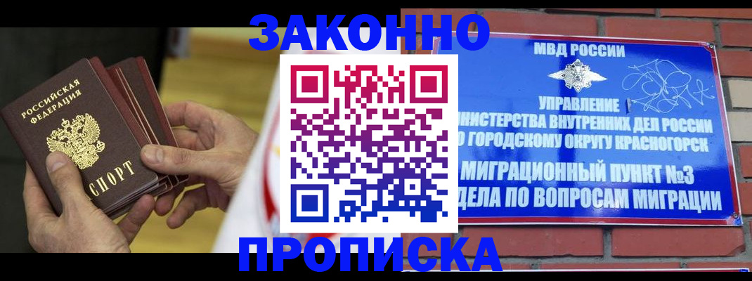 прописка для школы в Юрьев-Польском